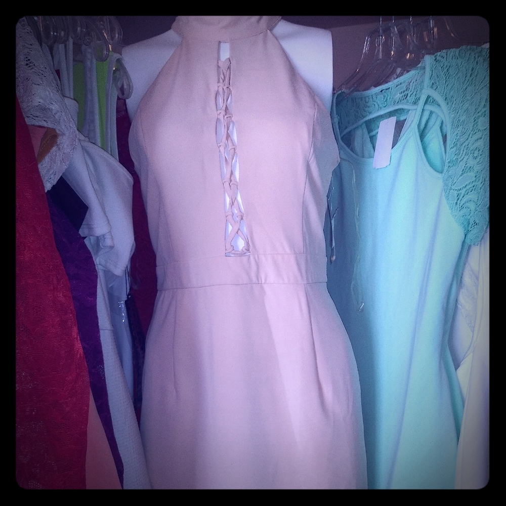 Charlotte Russe  dresses
